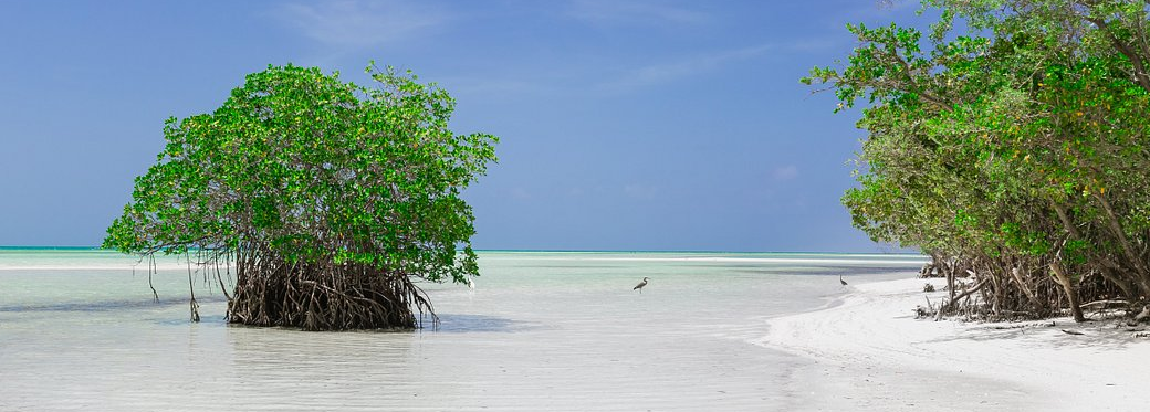 https://ofertas.ratonviajero.com/viajes/assets/upload/d5806.webp